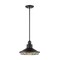Nuvo Fixture, Pendant, 1-Light, Incandescent, 60W, 120V, A19, Medium Base 60/7044 - alternate 4